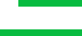 Logo footer
